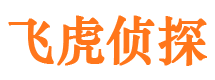 重庆市调查公司